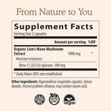 Lion's Mane Mushroom Extract Capsules 120 Count – Organic Mushroom Supplement